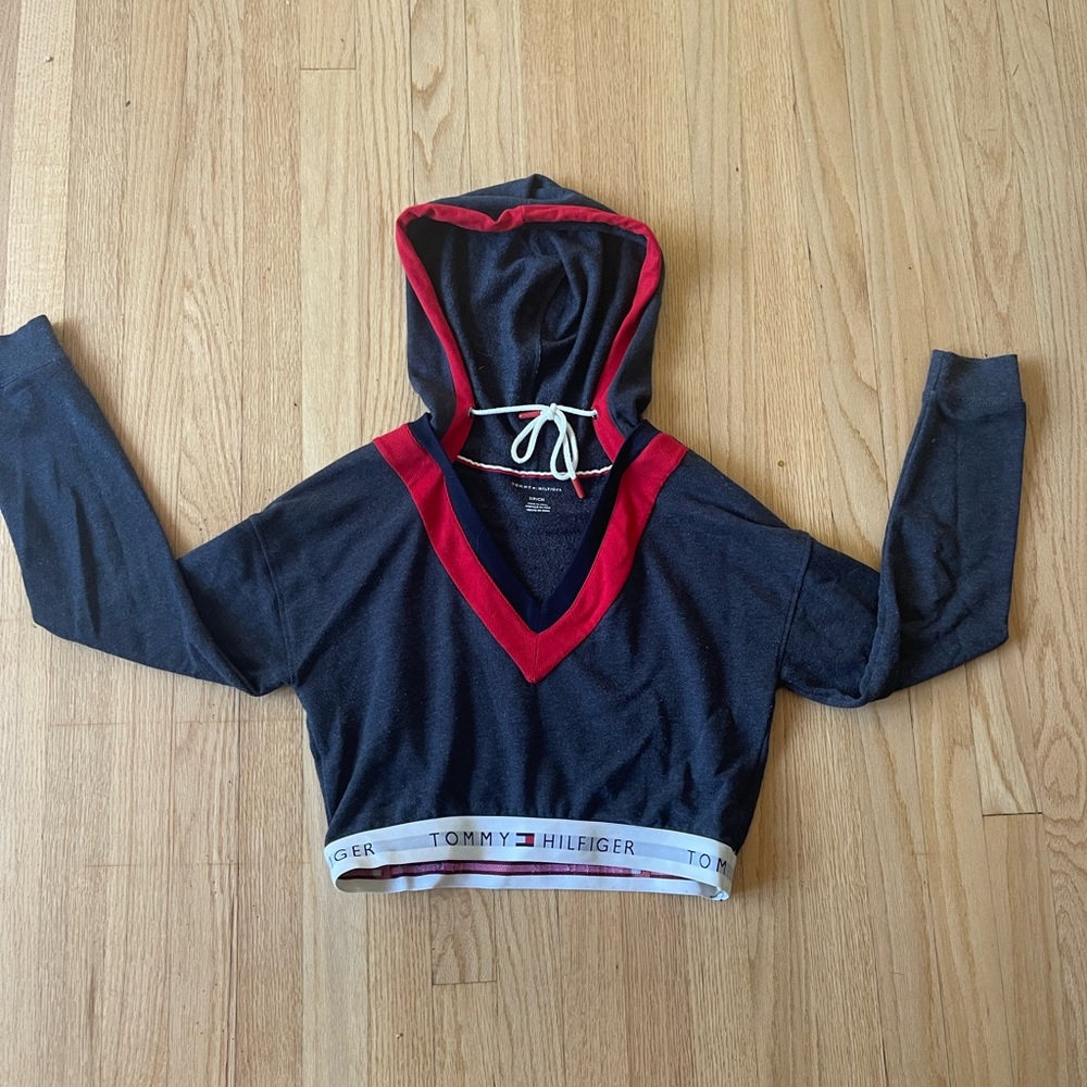 Urban Outfitters/ Tommy Hilfiger Cropped Hoodie